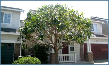 picture-1