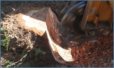 picture-5