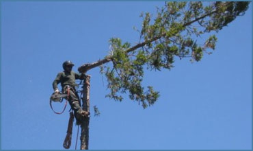picture-6