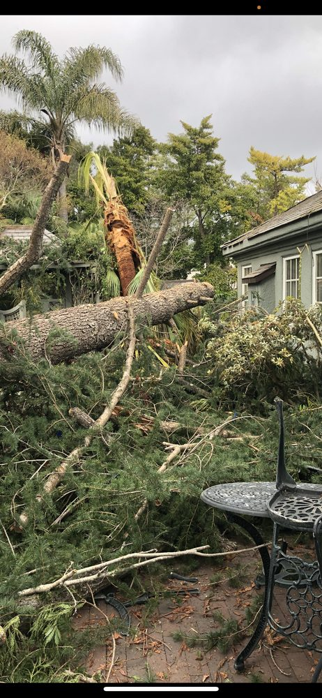 Emergency tree service